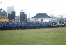Besok, Puluhan Pejabat Pemkab Bengkulu Tengah Bakal Dimutasi