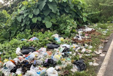 Aroma Tak Sedap dan Sampah Menumpuk di Sawangan Desa Pulau Panggung, Warga Menanti Program Berbinar