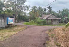 Pengusaha Penginapan di Wisata Sungai Suci Tak Berkontribusi ke Desa, Begini Faktanya 