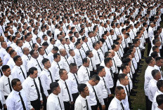 SE Mendikdasmen Diabaikan, Bagaimana Nasib PPPK Paruh Waktu setelah Desember 2026?