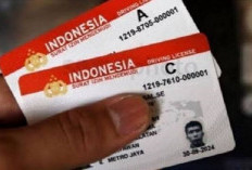 Punya BPJS Hingga Sertifikat Mengemudi Jadi Syarat Wajib Buat SIM Baru , Simak Prosedurnya