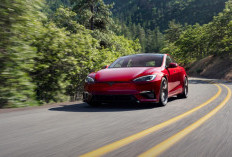 Penjualan Tesla Babak Belur di Eropa, Penjualan Anjlok 89% di Swedia