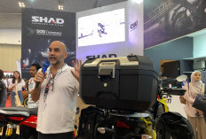 Top Box SHAD TR41 dan TR46 Meluncur di IMOS 2025, Harga Cuma Rp 1 Jutaan