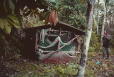 Makam Tersembunyi di Tengah Hutan Wilayah Bengkulu Tengah: Legenda Putri Darah Putih dan Keajaibannya