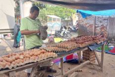 Ini Harga Sembako di Kecamatan Pondok Kelapa