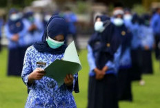 Waduh, Mayoritas PPPK di Daerah Ini Terancam Putus Kontrak