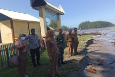 Gelombang Pasang Kembali Serang Kawasan Penangkaran Penyu Desa Pekik Nyaring