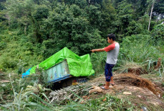 Diduga Rem Blong, Pengendara Fuso Tabrak Pembatas Jalan Lalu Terjun ke Jurang di Liku Sembilan Bengkulu Tengah