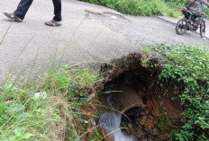 Jalan Kabupaten Penghubung Antar Desa Taba Baru-Surau Terancam Putus