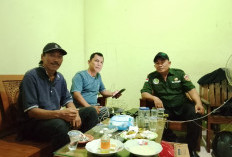 Pengadaan 12 Sapi Dana Desa Disorot, Golbe Desak Penjelasan Pemerintah Desa