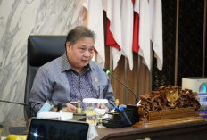 Program Magang Nasional, 1.666 Perusahaan Buka 26 Ribu Lowongan