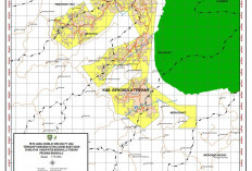 Lahan HGU PT. RAA Dikabarkan Masuk Kawasan Hutan Lindung? Begini Penjelasan KPHL