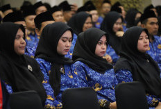 ASN Harus Cepat Tanggap dan Tulus Melayani, Pesan Wamen PANRB di Pelantikan PPPK