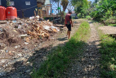 Sudah 11 Tahun, Salah Satu Akses Jalan Desa Wilayah Bengkulu Tengah Ini Tak Tersentuh Pembangunan
