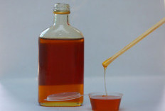 Turunkan Berat Badan Cukup Minum Madu Campur Air Hangat, Rasakan Khasiat Lainnya!