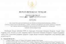 Pemkab Bengkulu Tengah Resmi Buka Pendaftaran Seleksi PPPK 2024, Berikut Rincian Formasi dan Syarat Lengkapnya