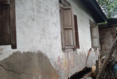 Korban Gempa Bumi Warga Desa Sekayun Masih Berharap, Kondisi Rumah Makin Parah, Bantuan tak Kunjung Pasti