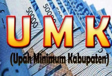 Penetapan UMK Bengkulu Tengah 2025 Tertunda, Regulasi Pusat Masih Ditunggu