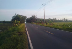 Minim Penerangan, Jalan Lintas Sri Kuncoro–Kota Bengkulu Rawan Kriminalitas Dilalui Malam Hari