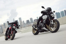 Triumph Trident 800: Mesin Tiger Gaya Streetfighter