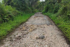 Miris! Beginilah Kondisi Jalan di Kawasan Desa Genting, PT. Bio Nusantara Diminta Ikut Peduli