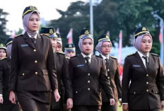 Ini Formasi PPPK Nakes Tahun 2025 Kejaksaan RI