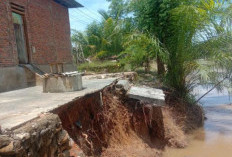 Menunggu Respon Pemda, Abrasi Sungai Lemau Semakin Parah