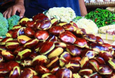 3 Manfaat Jengkol, Ampuh Kendalikan Tekanan Darah