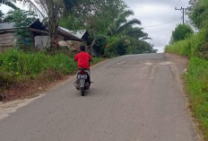 Tidak Hanya Rusak Parah, Jalan Lintas Desa Sidorejo-Desa Sidodadi Juga Tanpa Lampu Penerangan