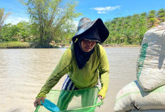 Kisah Pencari Batu Bara Karungan Cukupi Kebutuhan Makan, Satu Karung Hanya Dihargai Rp 13 Ribu