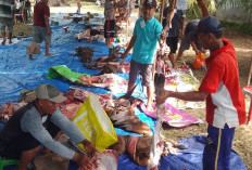 Idul Adha Jadi Momentum Kebersamaan, 39 Hewan Kurban Disembelih di Desa Pasar Pedati