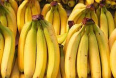 10 Negara Penghasil Pisang Terbanyak di Dunia, Indonesia Nomor Berapa?