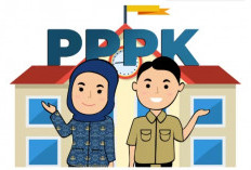 Cara Cek Hasil Seleksi PPPK Tahap 1 di SSCASN