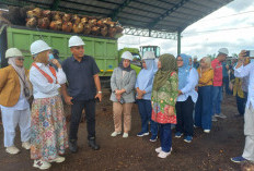 3 Topik Utama Jadi Sorotan, Keseriusan Perusahaan Kelapa Sawit di Bengkulu Tengah Dipertanyakan