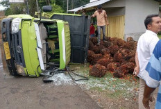 Hilang Kendali, Truk Bermuatan Sawit Terguling di Talang Pauh