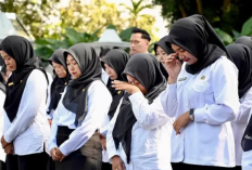 Honorer Database BKN Mendominasi Kelulusan PPPK Tahap 2, Ini Arti Kode Pengumuman