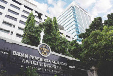 WTP Bisa Dibeli, Audit BPK Sulit Dipercaya