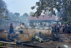 Diduga Akibat Korsleting Listrik, Begini Kronologis Lengkap Terbakarnya Rumah Warga di Bengkulu Tengah
