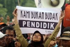 Hasil Survei, Sebegini Kisaran Gaji Guru Honorer, Mungkin Anda Sudah Tidak Kaget