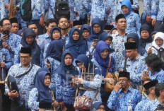Gaji PPPK Paruh Waktu Teknis Rp 12 Juta, Terendah Rp 5,19 Juta, Wow!
