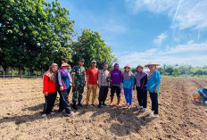 Program Ketahanan Pangan, Pemdes Pulau Panggung Gulirkan Budidaya Kacang Tanah dan Jagung Manis