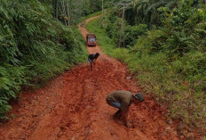 Kades Padang Siring Soroti Jalan Rusak, Minta Bupati Terpilih dan Dewan Dapil 1 Tanggap