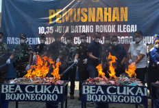 Tekan BKC Ilegal, Bea Cukai Bojonegoro Musnahkan Rokok Polos Senilai Rp 15,39 Miliar