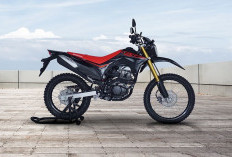 Ini Dia Spesifikasi Honda CRF150L yang Cocok untuk Pemula, Harga Terjangkau