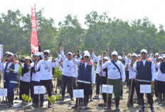 Rehabilitasi Pesisir Pantai Jenggalu Bengkulu, PT. Hutama Karya Tanam Ribuan Bibit Mangrove