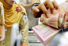 Kado Spesial HUT RI ke-80! ASN Bakal Terima Kenaikan Gaji dan 7 Tunjangan Tambahan