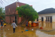 Banjir Genangi Pemukiman Rumah di Desa Taba Jambu, Belasan KK Mengungsi Sementara Waktu