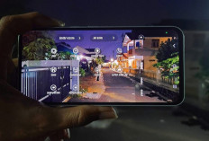 Memanfaatkan Mode Pro pada Kamera HP Samsung untuk Hasil Foto Berkualitas, Begini Caranya