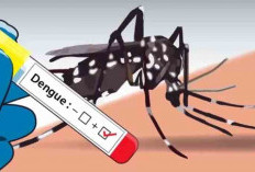 Waspada DBD! Puskesmas Sri Kuncoro Catat Satu Kasus, Diduga Terinfeksi dari Luar Daerah