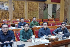 Kabar Terbaru Upaya Alih Status PPPK menjadi PNS, Sinyal Positif